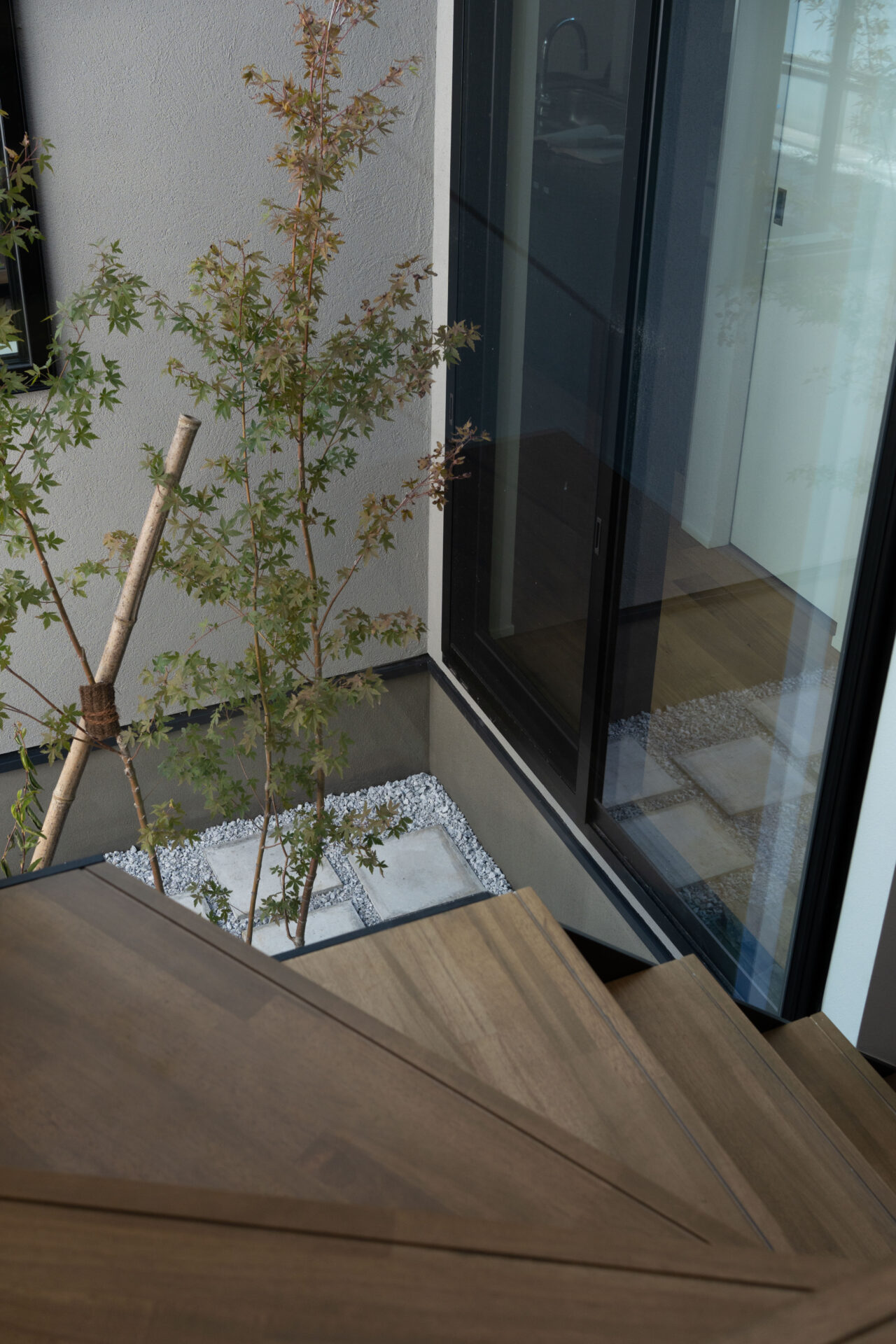 揺れる光と景観を楽しむ家