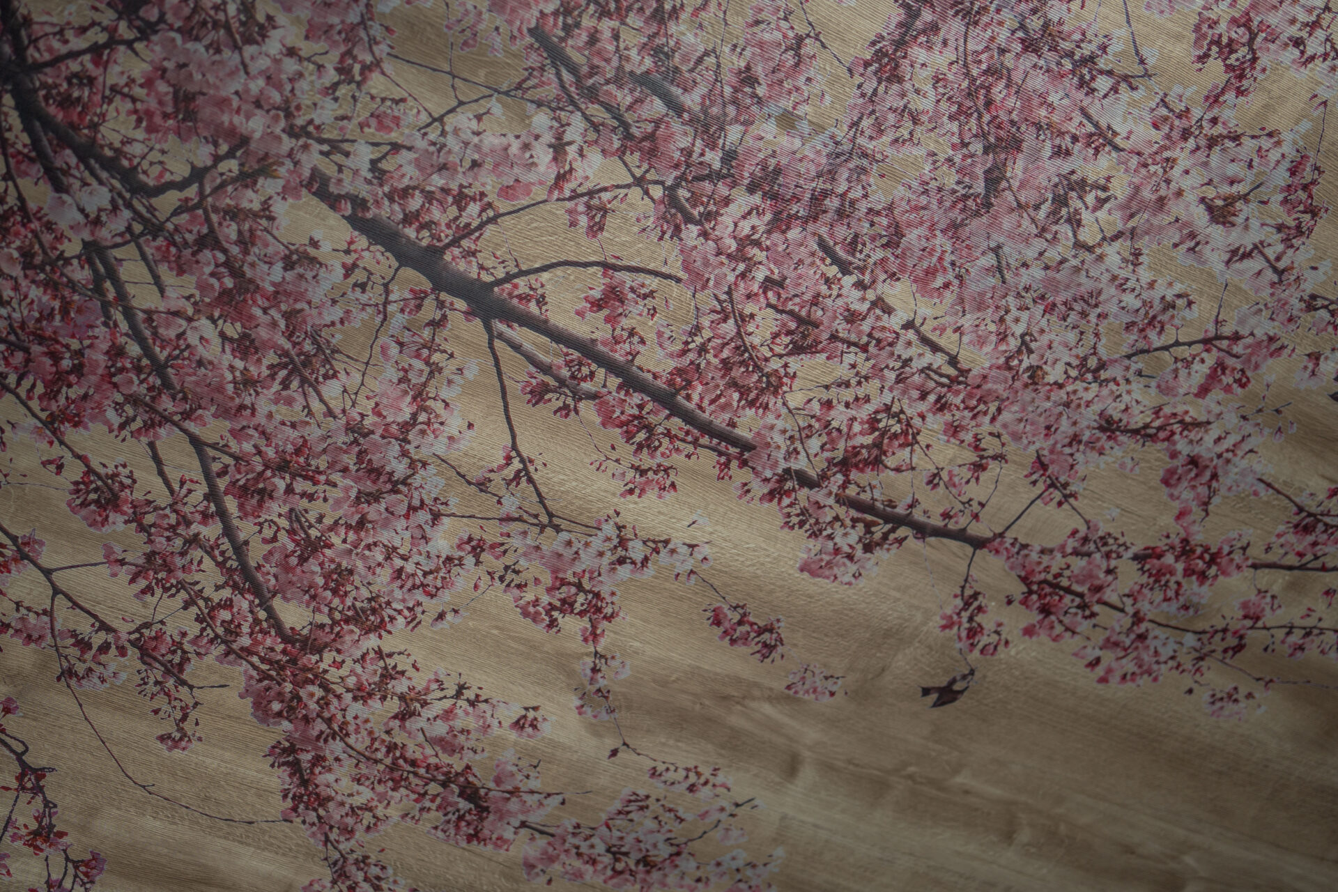 心を込めたおもてなしの家